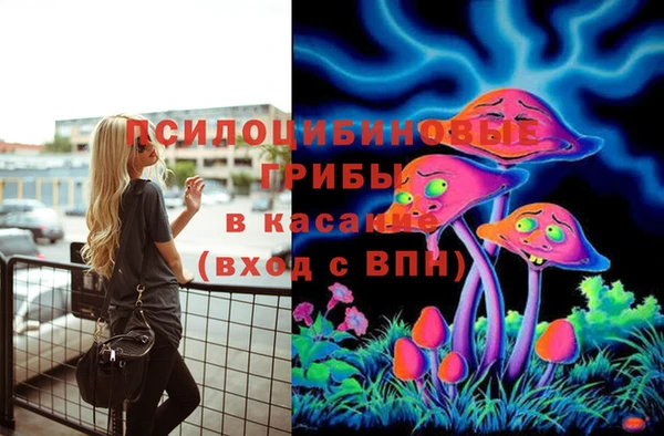 герыч Алзамай